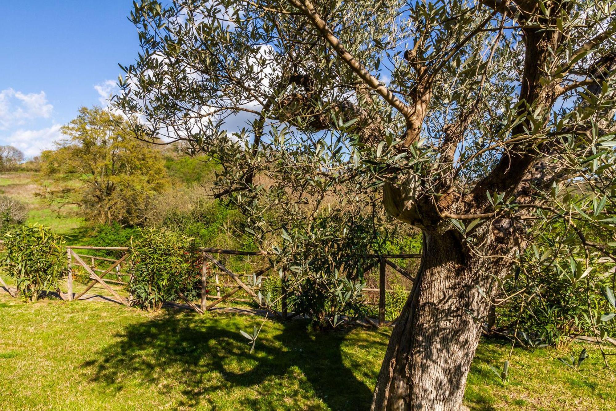Home With A View In Scansano, Tuscany Exterior photo
